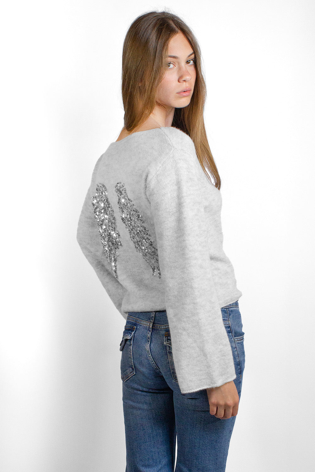 Wings sequin sweater | Subdued